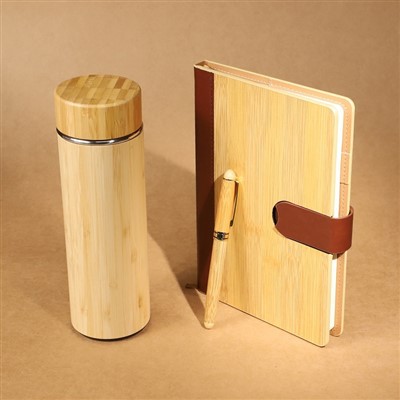 Luksuzni set dnevnika i olovke